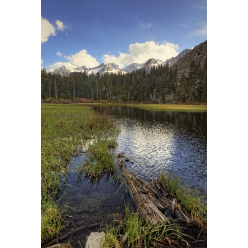 California, Sierra Nevada Weir Pond landscape
